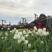 みむほ★ご購入はプロフまでの画像