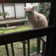 姉妹ママ