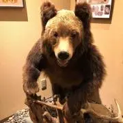 Zackの画像