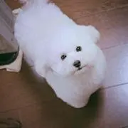 みるみる