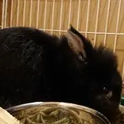 ゆーいち
