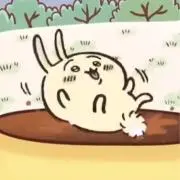 ✨の画像