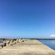 売り切りセール中！！！(*^ω^*)の画像