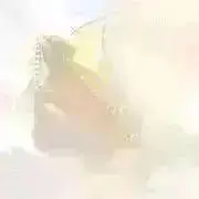 ぱーる