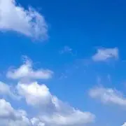 (￣∀￣)