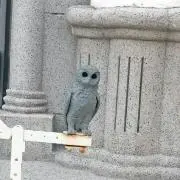 ぽんたろうの画像