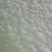 akaneの画像