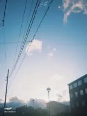 零  プロフ必読の画像