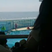 くるみ
