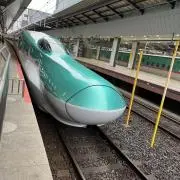 はるとんとんの画像