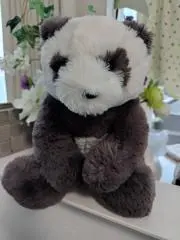 ピノの画像