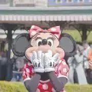 あんこの画像
