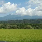 みぽ