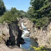 藍カブの画像