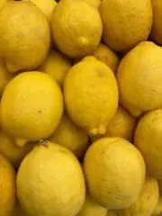 ちんちんさん