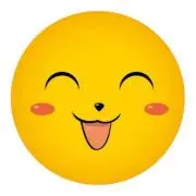 美しい人生