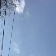 mの画像
