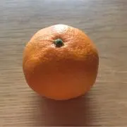スチ子ねーさんの画像