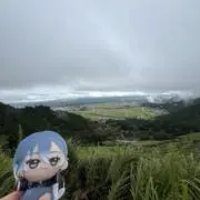 あほすけ、断捨離の画像