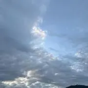 nicoちゃん