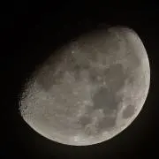 稲葉