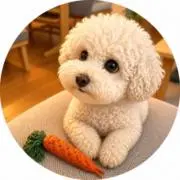 ゆうみの画像