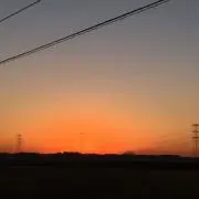たいの画像
