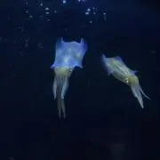 ゆじ☺︎の画像