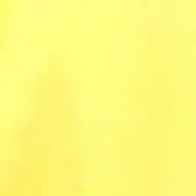 わん