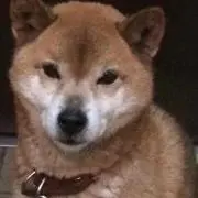 マロン