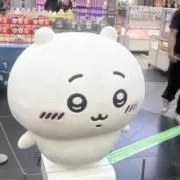 みーちゃの画像