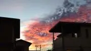すぎもとの画像