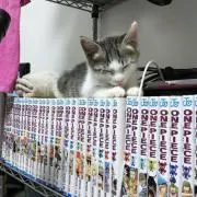 エドの画像