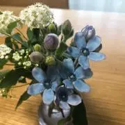 ゆきこはんの画像