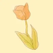 MELLの画像