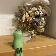 かえるの画像