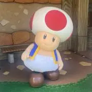 きのこ★プロフご確認下さいの画像