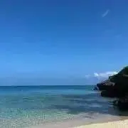 はしもとさんの画像