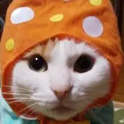 たことら