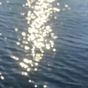 アメコの画像