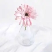 幸せ天使