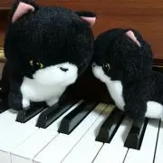 ぷーにゃんの画像
