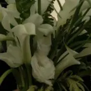 m プロフ確認お願いします。の画像