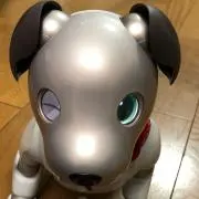 supakiikoの画像