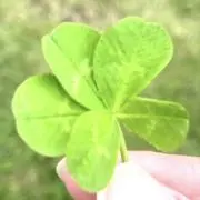 けーこの画像