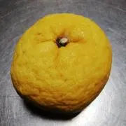 なーさんの画像