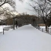あきらの画像