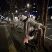 ゆの画像