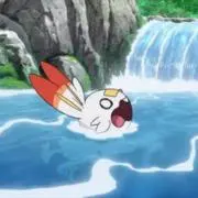 うさこ‪‪ ꪔ̤ (プロフ必読！)