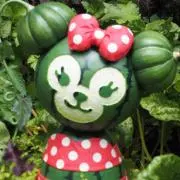明日太
